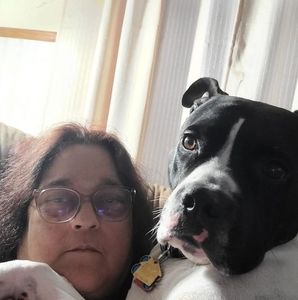 Meet your Posher, Dawn